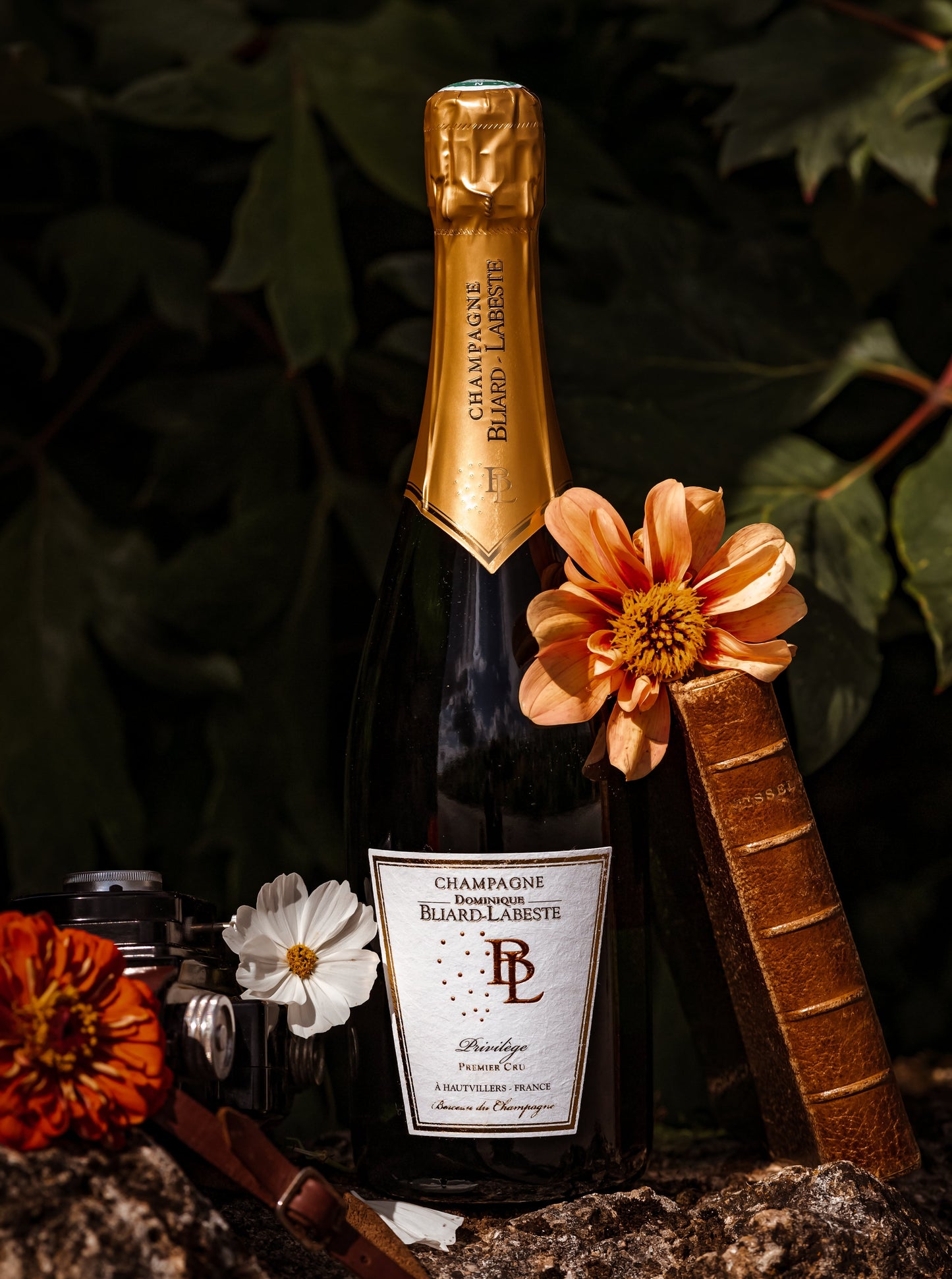Champagne Privilège - Bliard-Labeste